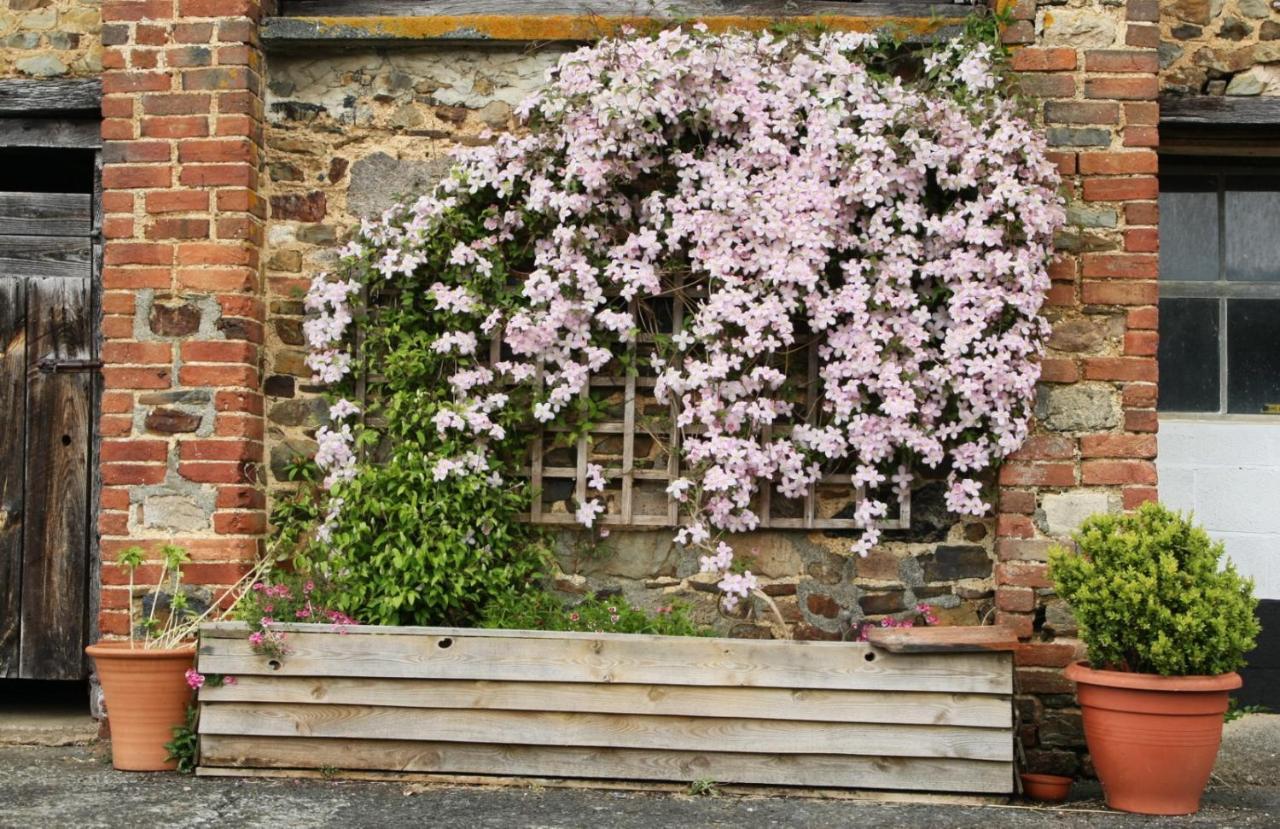 Brook Farmhouse Tedburn Exterior foto